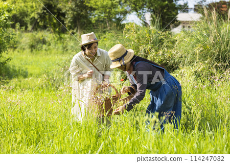 摘花的女人 114247082