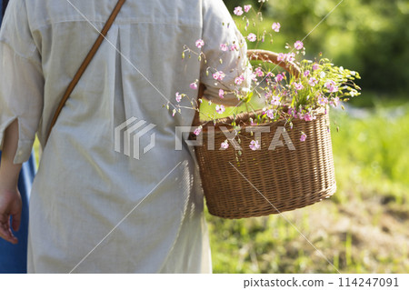 Woman picking flowers Woman picking flowers 114247091