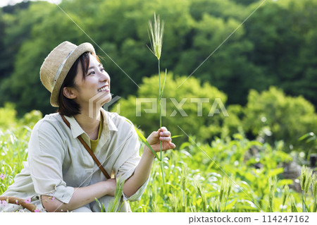 A woman looking at wheat in a field 114247162