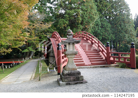 Autumn Niyuu shrine selling shrine 114247195