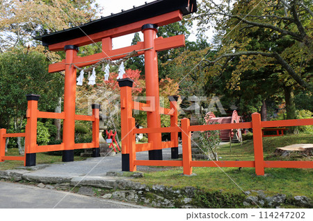 Autumn Niyuu shrine selling shrine 114247202