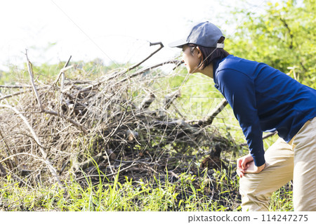 在森林裡工作的女人 114247275
