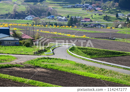 宮森梯田地區 宮森梯田地區 114247277