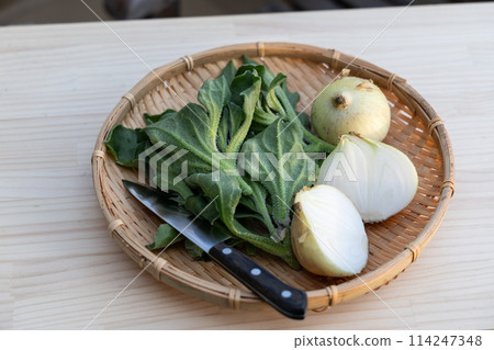 剛收穫的洋蔥和冰植物<四月> 114247348