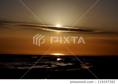 A forest overlooking the sea amidst the fresh greenery; the setting sun hidden beneath a blanket of clouds. A forest overlooking the sea amidst the fresh greenery; the setting sun hidden beneath a blanket of clouds. 114247382