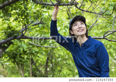 女人看著植物 114247393
