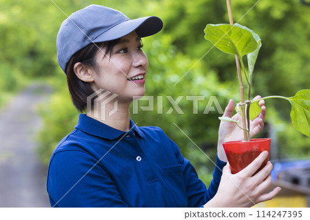Women with seedlings Women with seedlings 114247395