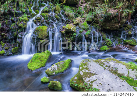 「秋田縣」元瀧地下水和元瀧川的春天景色 「秋田縣」元瀧地下水和元瀧川的春天景色 114247410