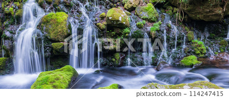 「秋田縣」元瀧地下水和元瀧川的春天景色 114247415