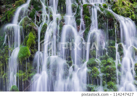 「秋田縣」元瀧地下水和元瀧川的春天景色 114247427