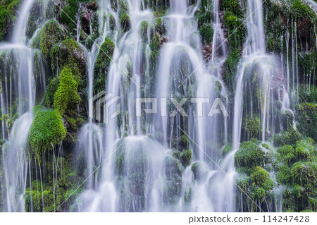 「秋田縣」元瀧地下水和元瀧川的春天景色 114247428