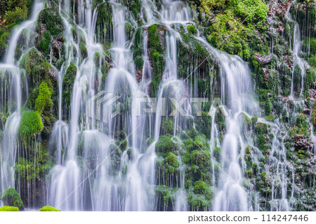 "Akita Prefecture" Spring scenery of Mototaki Falls and Mototaki River "Akita Prefecture" Spring scenery of Mototaki Falls and Mototaki River 114247446