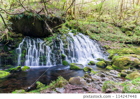 "Akita Prefecture" Spring scenery of Mototaki Falls and Mototaki River "Akita Prefecture" Spring scenery of Mototaki Falls and Mototaki River 114247448