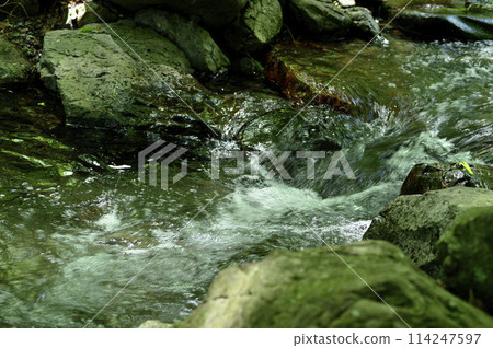 流水流量 114247597