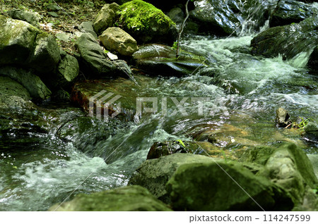 Stream water flow Stream water flow 114247599