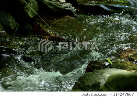 Stream water flow 114247607