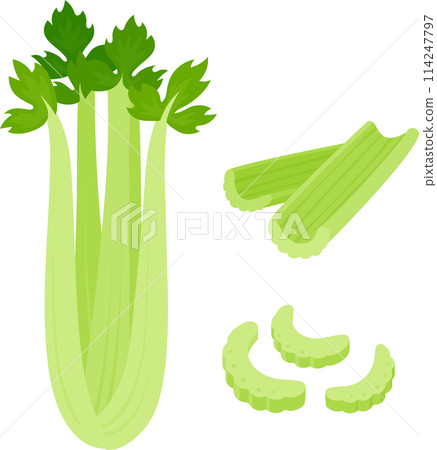Celery cartoon drawing set Celery cartoon drawing set 114247797