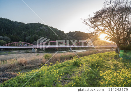 黃昏的茨城中川大橋 黃昏的茨城中川大橋 114248379