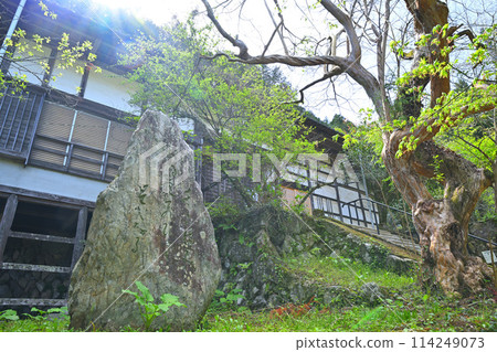 小志川沿岸的善都院本堂 新綠季節 114249073