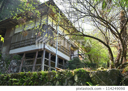 小志川沿岸的善都院本堂 新綠季節 114249098