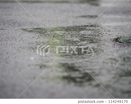 雨天的濕瀝青 114249170