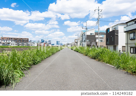 八神川，綠樹成蔭，白雲環繞，藍天白雲環繞的小路 114249182