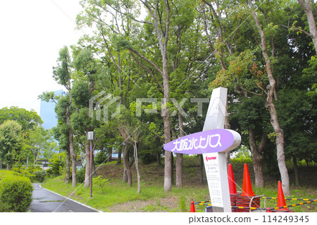 Osaka Water Bus, boarding point, approach road / Osaka Castle, Chuo-ku, Osaka City, Osaka Prefecture 114249345
