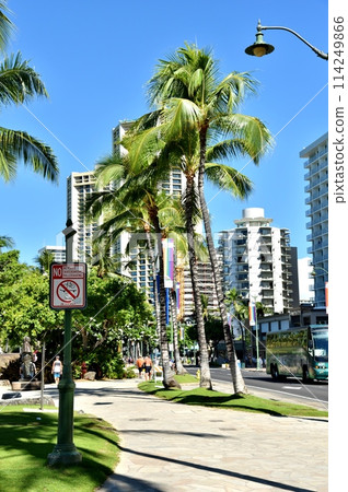 Holidays in Hawaii Holidays in Hawaii 114249866