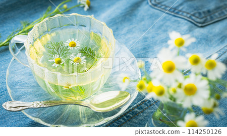 Chamomile tea Herbal tea image material Chamomile tea Herbal tea image material 114250126