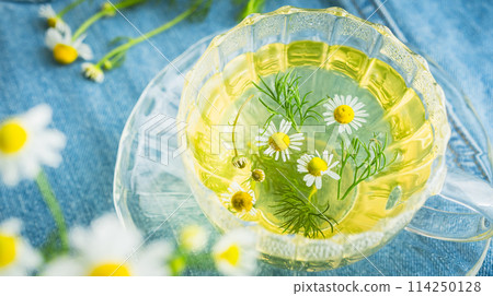 Chamomile tea Herbal tea image material Chamomile tea Herbal tea image material 114250128