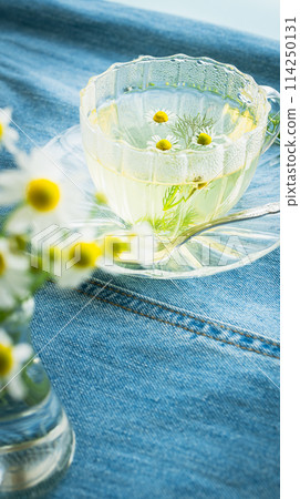 Chamomile tea Herbal tea image material Chamomile tea Herbal tea image material 114250131