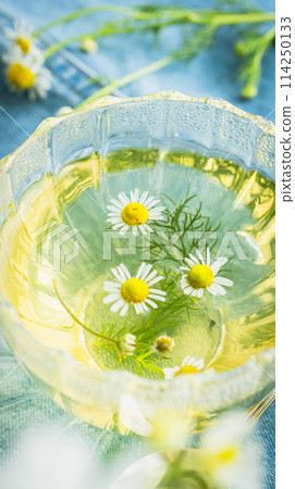 Chamomile tea Herbal tea image material Chamomile tea Herbal tea image material 114250133