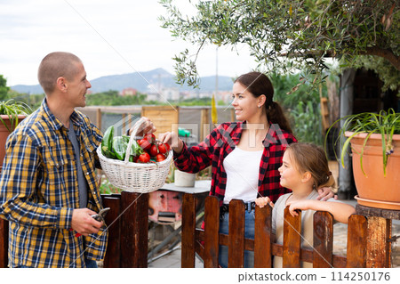Good neighbors communicate while standing by fence between houses 114250176