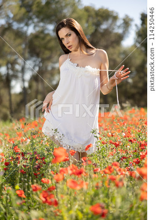 Sexy girl in white cambric summer dress stands among blooming poppies 114250446