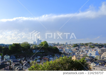 View from Honmoku Sancho Park, Yokohama, Kanagawa Prefecture View from Honmoku Sancho Park, Yokohama, Kanagawa Prefecture 114250737