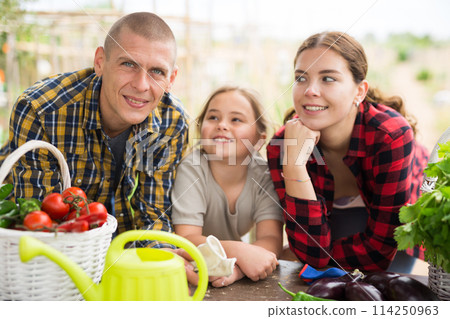 Happy family with a harvest of vegetables sits at table in the backyard of summer cottage 114250963