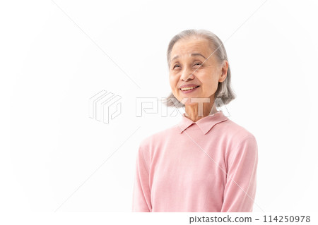 高級女性肖像 114250978
