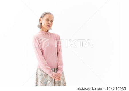 高級女性肖像 114250985