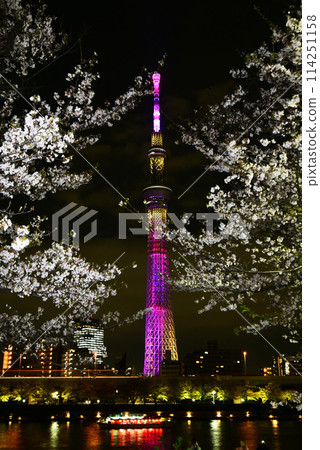 Landscape at night 114251158