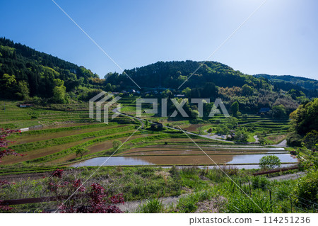 日本岡山縣三崎鎮的梯田美景 日本岡山縣三崎鎮的梯田美景 114251236