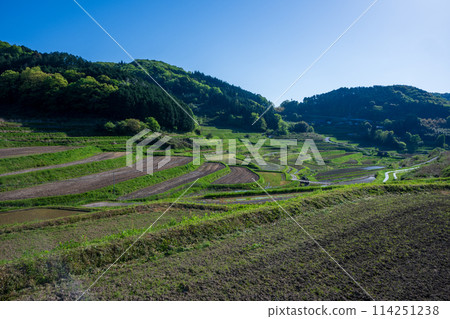 日本岡山縣三崎鎮的梯田美景 114251238