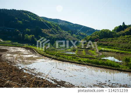 日本岡山縣三崎鎮的梯田美景 114251239