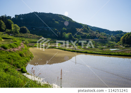 日本岡山縣三崎鎮的梯田美景 日本岡山縣三崎鎮的梯田美景 114251241