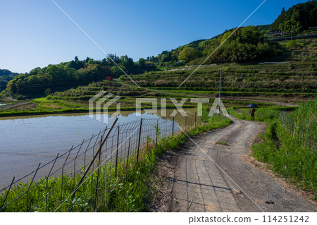 日本岡山縣三崎鎮的梯田美景 114251242
