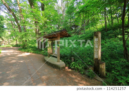 東京都八王子市瀧山公園 東京都八王子市瀧山公園 114251257