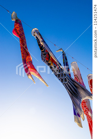 鯉魚飄帶游泳在藍天 114251474