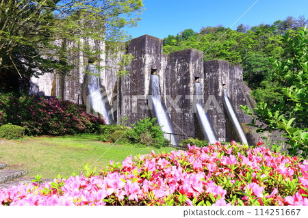 [Kagawa Prefecture] Azaleas blooming in spring at the Honenike Dam (Hoenike Weir), the first stone masonry multiple arch dam in the country 114251667