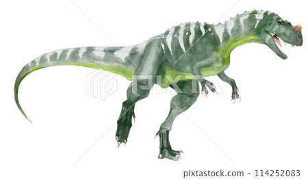 Ceratosaurus, horned lizard, apex predator of the Jurassic period 114252083