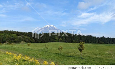 富士山 富士山 114252202