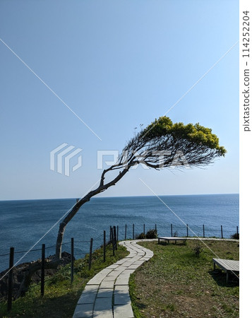 能登半島 能登半島 114252204